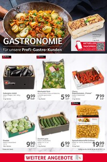 Aktueller Selgros Prospekt "cash & carry" mit 32 Seiten