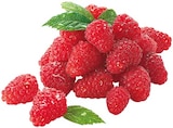 Himbeeren Angebot in Alfdorf Himbeeren im aktuellen Prospekt bei REWE in Alfdorf
