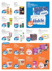 Katzenfutter im V-Markt Prospekt in Regensburg Aktueller V-Markt Prospekt mit Katzenfutter, "V-Markt einfach besser einkaufen", Seite 11