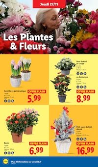 Promotion Jardin dans le prospectus Lidl, valable du 27/11/2025 au 03/12/2025 Promo Jardin dans le catalogue Lidl du moment à la page 38