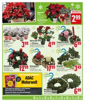 Garten im EDEKA Prospekt in München Aktueller EDEKA Prospekt mit Garten, "Tiefe Preise & himmlischer Genuss", Seite 6