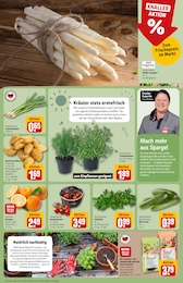 REWE Gartenerde im Prospekt REWE Gartenerde im Prospekt