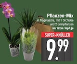Pflanzen-Mix im Angebot bei E center in Regensburg Pflanzen-Mix Angebote bei E center Regensburg für 9,99 €