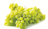 Supermarchés Match Saint-Nicolas-de-Port - Promo Raisin Blanc Italia Promo Raisin Blanc Italia à 2,99 € dans le catalogue Supermarchés Match à Saint-Nicolas-de-Port