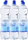 Berg Quellen im Angebot bei Kaufland in Neunkirchen Berg Quellen Angebote bei Kaufland Neunkirchen für 3,30 €