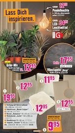 Aktueller Hornbach Prospekt mit Mixer, "Du kannst es Dir vorstellen. Du kannst es auch bauen.", Seite 21