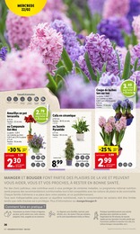 Prix et réduction Aménagement Extérieur dans le prospectus Lidl en cours Offre Aménagement Extérieur dans le catalogue Lidl du moment à la page 28