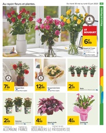 Offre Bouquet De Fleurs dans le catalogue Carrefour du moment à la page 17