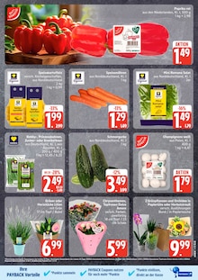 Kartoffeln im aktuellen EDEKA Prospekt (Kiel) Kartoffeln im EDEKA Prospekt "Top Angebote" mit 13 Seiten (Kiel)
