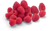 Netto Marken-Discount Kaltennordheim - Himbeeren Angebot im Prospekt Himbeeren bei Netto Marken-Discount im Kaltennordheim Prospekt für 1,49 €