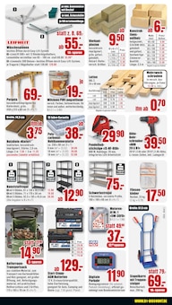 Thuja Angebot im aktuellen B1 Discount Baumarkt Prospekt auf Seite 4