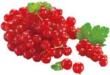Rote Johannisbeeren im Angebot bei REWE in Soest Rote Johannisbeeren Angebote von REWE Regional bei REWE Soest für 2,99 €