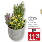 Bepflanztes Outdoor-Gefäß im Angebot bei Marktkauf in Stuttgart Bepflanztes Outdoor-Gefäß Angebote bei Marktkauf Stuttgart für 11,99 €