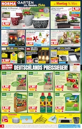 Norma Hornspaene im Prospekt Norma Hornspaene im Prospekt