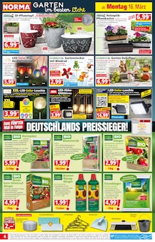 Whisky im Norma Prospekt "Mehr fürs Geld" mit 20 Seiten (Dresden)