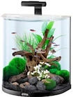 Aquarium-Set AquaArt Explorer Line Angebote bei Hagebaumarkt Kirchheim für 119,00 €