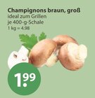 Champignons braun, groß im V-Markt Prospekt Champignons braun, groß von im aktuellen V-Markt Prospekt für 1,99 €