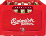 Aktuelle Bier Angebote bei Netto Marken-Discount in Magdeburg Aktuelles Original Czech Imported Lager Angebot bei Netto Marken-Discount in Magdeburg ab 12,99 €