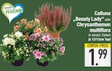Aktuelles Calluna 'Beauty Lady' Angebot bei E center in Augsburg ab 1,99 €