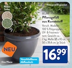 Pflanzgefäß aus Kunststoff von BELAVI im aktuellen ALDI SÜD Prospekt für 16,99 €