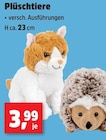 Plüschtiere für 3,99 € bei Thomas Philipps im Angebot Plüschtiere im aktuellen Thomas Philipps Prospekt