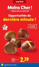 Promos Châtaigne dans le catalogue "LE MOIS TOUJOURS PLUS" de Lidl à la page 4 Promos Châtaigne dans le catalogue "LE MOIS TOUJOURS PLUS" de Lidl à la page 4