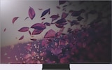TÉLÉVISEUR MINI-LED 4K - TCL - Extra à Fontenay-sous-Bois TÉLÉVISEUR MINI-LED 4K - TCL en promo chez Extra Fontenay-sous-Bois à 499,90 €