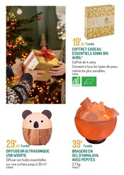 Electroménager Angebote im Prospekt "LE VILLAGE DE NOËL UNE FORÊT DE MAGIE" von Botanic auf Seite 27
