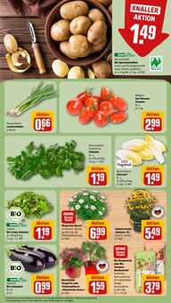Tomaten im REWE Prospekt "Dein Markt" mit 28 Seiten (Bochum)