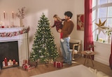 Künstlicher Weihnachtsbaum im Angebot bei Lidl in Gehrden Künstlicher Weihnachtsbaum Angebote von Livarno Home bei Lidl Gehrden für 74,99 €