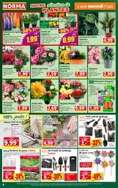Jardinière Angebote im Prospekt "Votre Discounter Régional" von Norma auf Seite 4