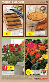 Fleurs Angebote im Prospekt "TOUTES ET TOUS UNIS CONTRE LA VIE CHÈRE." von Intermarché Fleurs Angebote im Prospekt "TOUTES ET TOUS UNIS CONTRE LA VIE CHÈRE." von Intermarché auf Seite 17