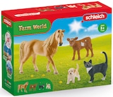 Farm World Starter Set von Schleich im aktuellen Rossmann Prospekt für 11,99 €