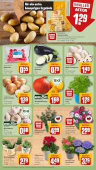 Knoblauch im aktuellen REWE Prospekt (Dresden) Knoblauch im REWE Prospekt "Dein Markt" mit 22 Seiten (Dresden)