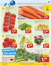Paprika im Netto Marken-Discount Prospekt in Neubrandenburg Aktueller Netto Marken-Discount Prospekt mit Paprika, "Aktuelle Angebote", Seite 41