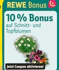 Aktuelle Blumen Angebote bei REWE in Recklinghausen Aktuelles 10 % Bonus Angebot bei REWE in Recklinghausen