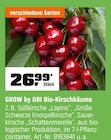 Bio-Kirschbäume Angebote von Grow by OBI bei OBI Berlin für 26,99 €