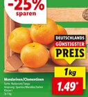 Mandarinen/Clementinen im aktuellen Lidl Prospekt