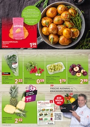 Pflaumen Angebot & Preis im aktuellen Selgros Prospekt Pflaumen Angebot im aktuellen Selgros Prospekt auf Seite 3