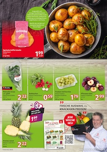 Kartoffeln im Selgros Prospekt "HIER KAUFEN PROFIS & GENIESSER" mit 24 Seiten (Chemnitz)