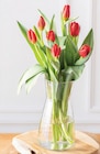 7 Tulipes - U en promo chez Super U Valence à 3,19 €