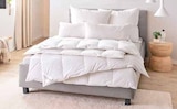 Ganzjahresbett im Segmüller Prospekt Ganzjahresbett von SPESSARTTRAUM im aktuellen Segmüller Prospekt für 29,99 €