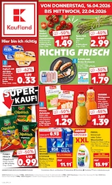 Aktueller Kaufland Supermarkt Prospekt in Ostrhauderfehn und Umgebung, "Aktuelle Angebote" mit 56 Seiten, 16.04.2026 - 22.04.2026