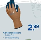 Aktuelles Gartenhandschuhe Angebot bei Rossmann in Mannheim ab 2,99 €