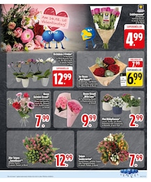 Blumen im EDEKA Prospekt Ab jetzt ist PAYBACK bei EDEKA zuhause. auf S. 13