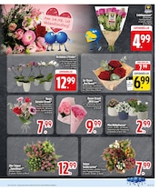 Aktueller EDEKA Prospekt mit Blumen, "Ab jetzt ist PAYBACK bei EDEKA zuhause.", Seite 13