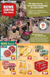 REWE Prospekt für Braunschweig mit 38 Seiten REWE Prospekt für Braunschweig: "Dein Markt", 38 Seiten, 05.10.2026 - 10.10.2026