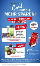 Abfalleimer Angebot im aktuellen Kaufland Prospekt auf Seite 6