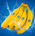 Bananen im Angebot bei Netto Marken-Discount in Schwäbisch Gmünd Bananen Angebote von Chiquita bei Netto Marken-Discount Schwäbisch Gmünd für 1,99 €