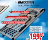 Lattenrost Maxximus im Angebot bei Die Möbelfundgrube in Trier Lattenrost Maxximus Angebote bei Die Möbelfundgrube Trier für 199,99 €